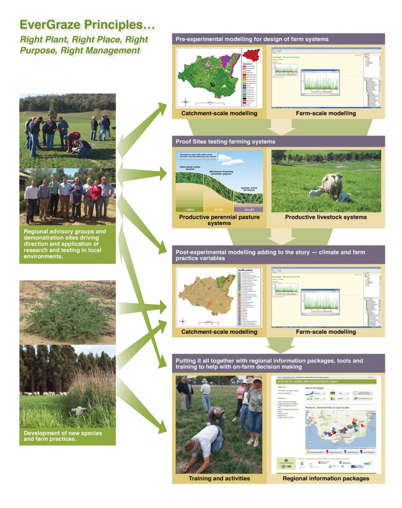 Figure 1: Process in the design and testing of EverGraze Farming Systems for development of relevant messages for farmers