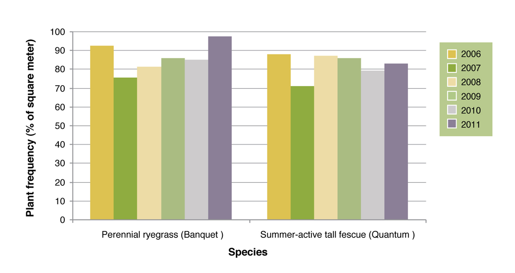 Figure 5. Plant frequency represents the persistence of late flowering perennial ryegrass (Banquet) and summer active tall fescue (Quantum) on the valley floors over six years.