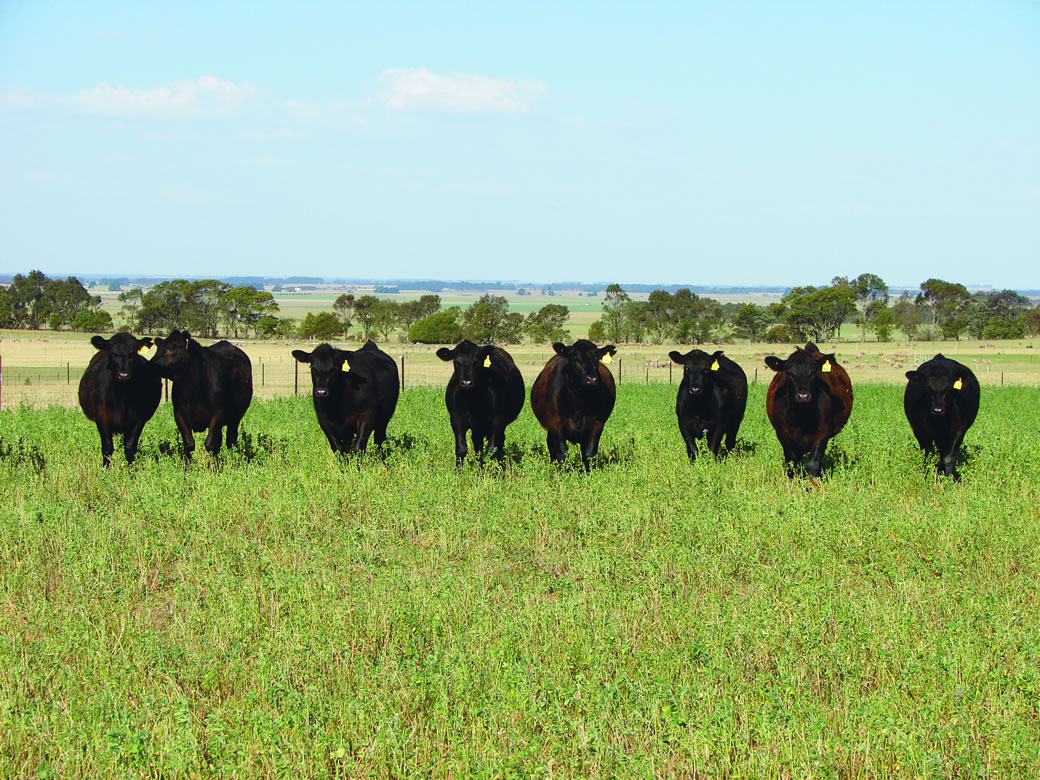 Livestock Management Livestock Management