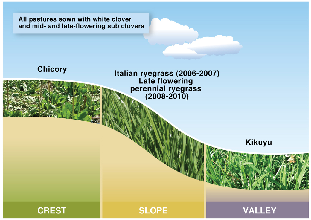 Figure 3. EverGraze Novel System