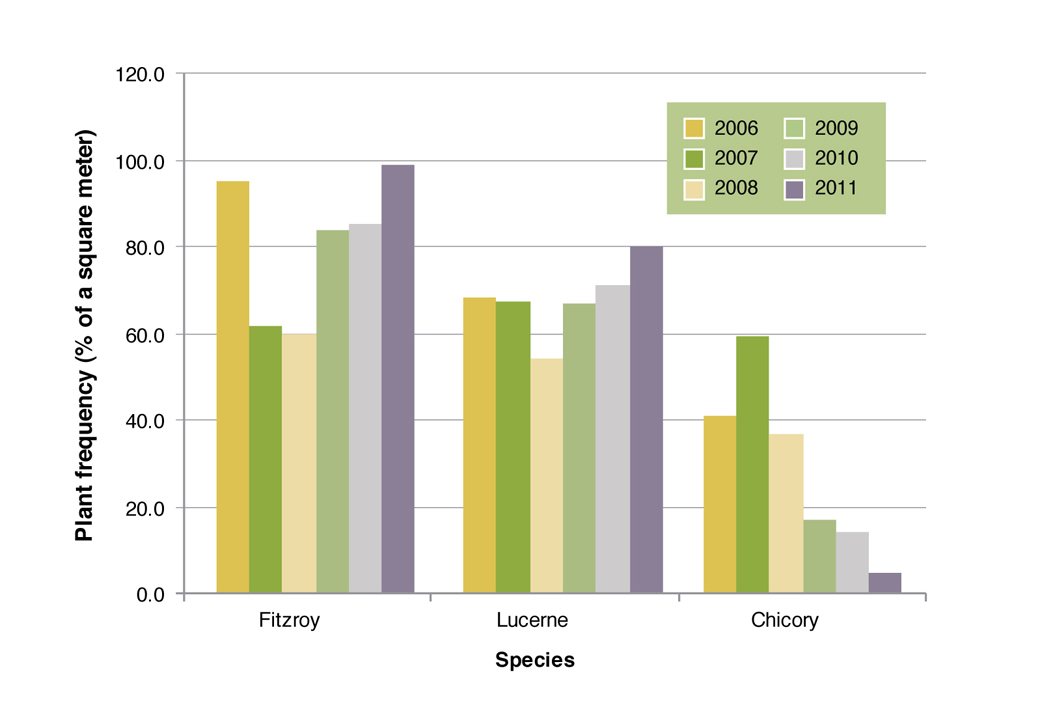 Figure 4. Plant frequency comparing the persistence of Fitzroy, Lucerne and Chicory on the crests from 2006-2011