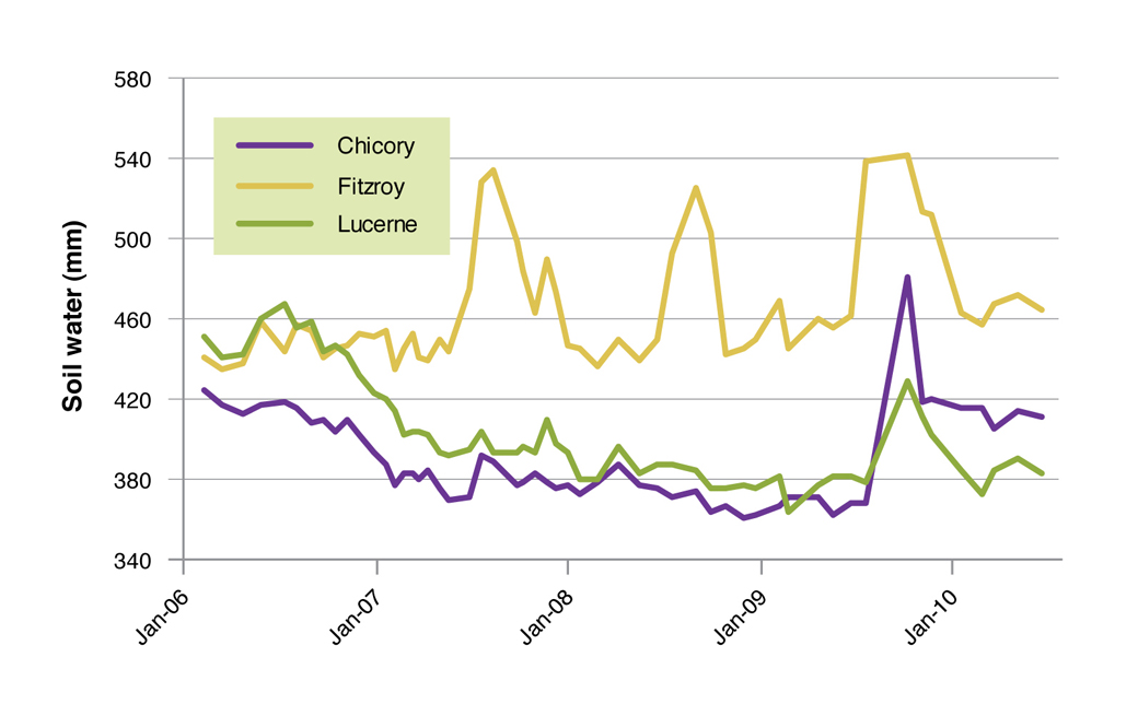 Figure 8. Soil water (2.25-3.25m) for chicory, early season flowering perennial ryegrass (Fitzroy) and lucerne (SARDI 7) on the crests at Hamilton Proof Site