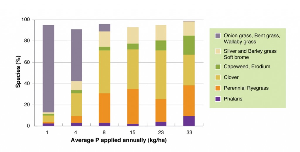 Figure 1. Different levels of phosphorus application (kg P/ha) and the impact on pasture composition. Adapted from Saul and Dark 1999.