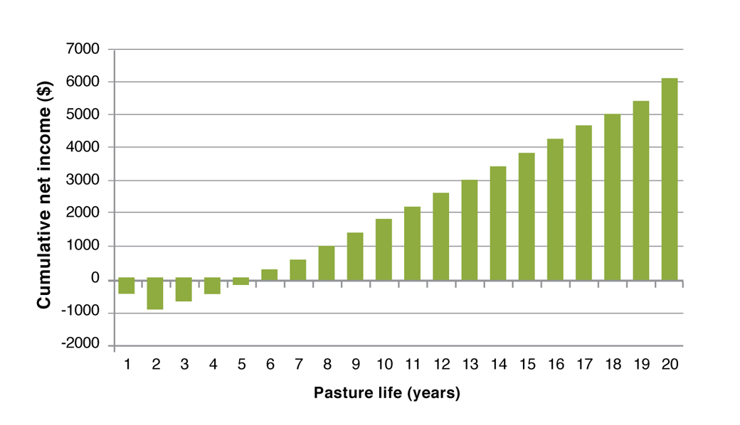Figure 5. Predicted cumulative cash flow for phalaris pasture at Longwood