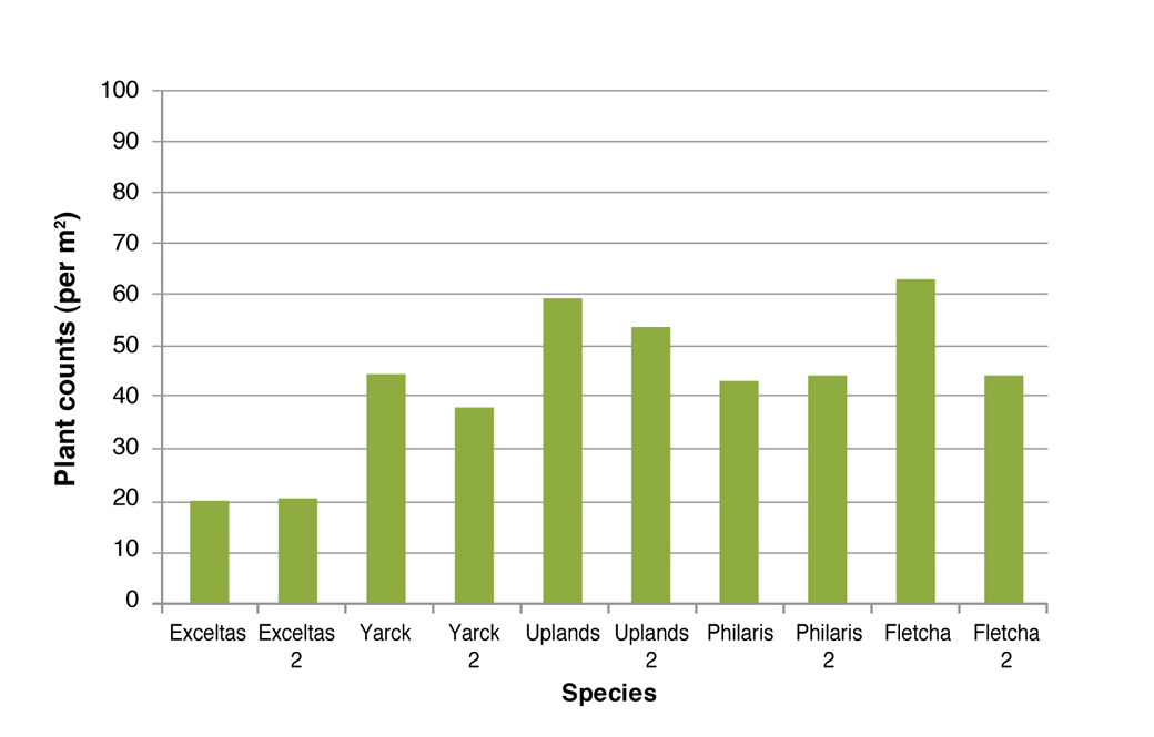 Figure 3. Plant counts Longwood March 2010