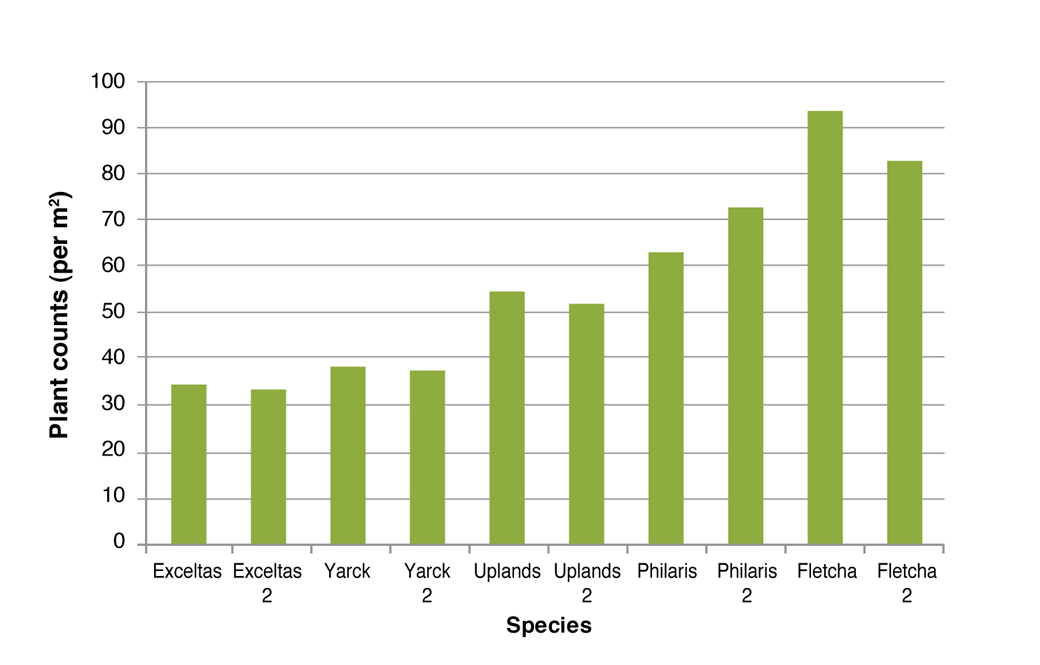 Figure 4: Plant counts Euroa March 2010