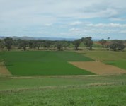 Flexibility in livestock systems is important for risk management in variable climates