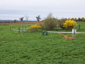 Shrubs planted at the break of slope at Wagga Wagga did not significantly reduce soil moisture at the bottom of the slope.