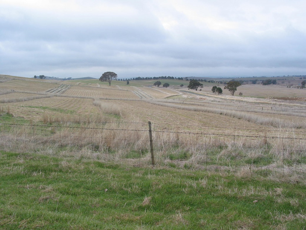 A combination of shrub and hessian rows was used as shelter in the experiment.