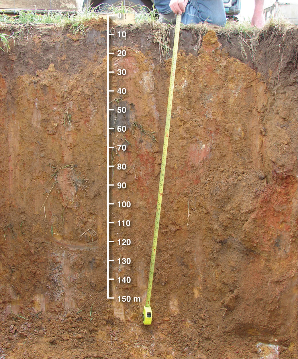 Soil profiles of a well-drained brown duplex soil on the crest Soil profiles of a well-drained brown duplex soil on the crest