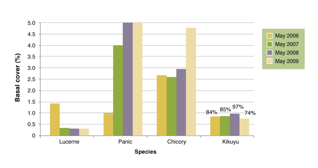 Basal cover (%) of lucerne, panic and chicory and kikuyu frequency at Wellstead Proof Site from 2006 to 2009 Figure 2 Basal cover (%) of lucerne, panic and chicory and kikuyu frequency at Wellstead Proof Site from 2006 to 2009.