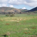 Murmungee EverGraze Supporting Site