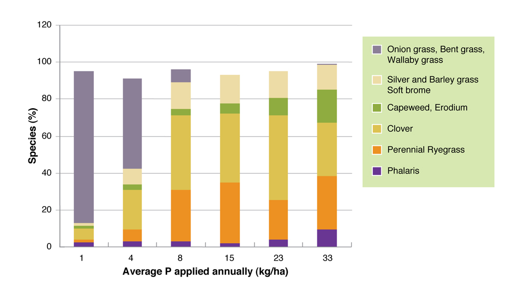 Figure 1. Effect of P fertiliser on pasture composition