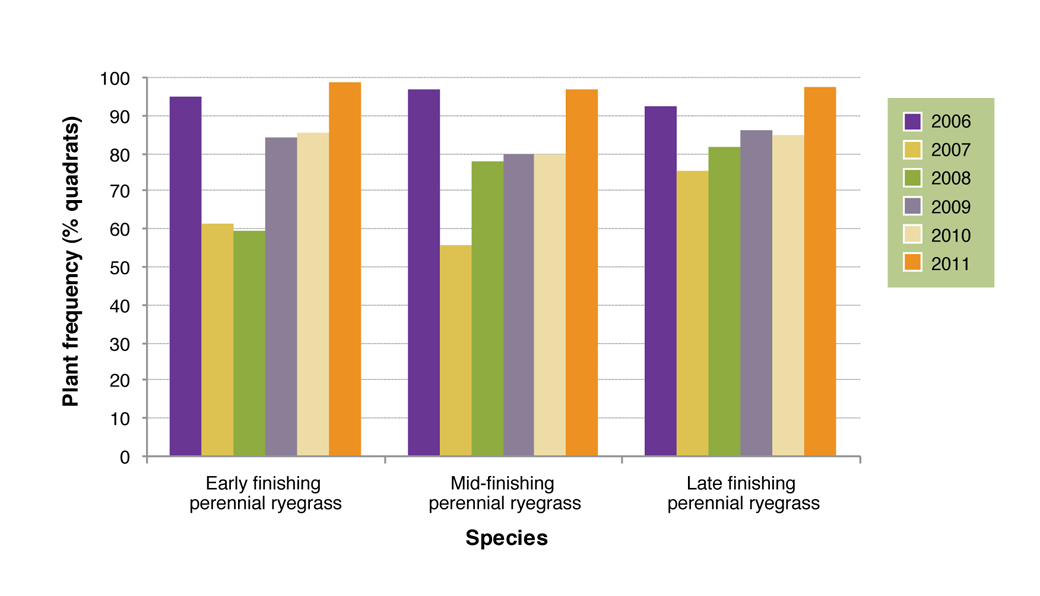 Figure 5. Plant frequency of early (Fitzroy), mid (Avalon) and late (Banquet) season flowering perennial ryegrasses planted on the crest, slope and valley floor at Hamilton EverGraze Proof Site