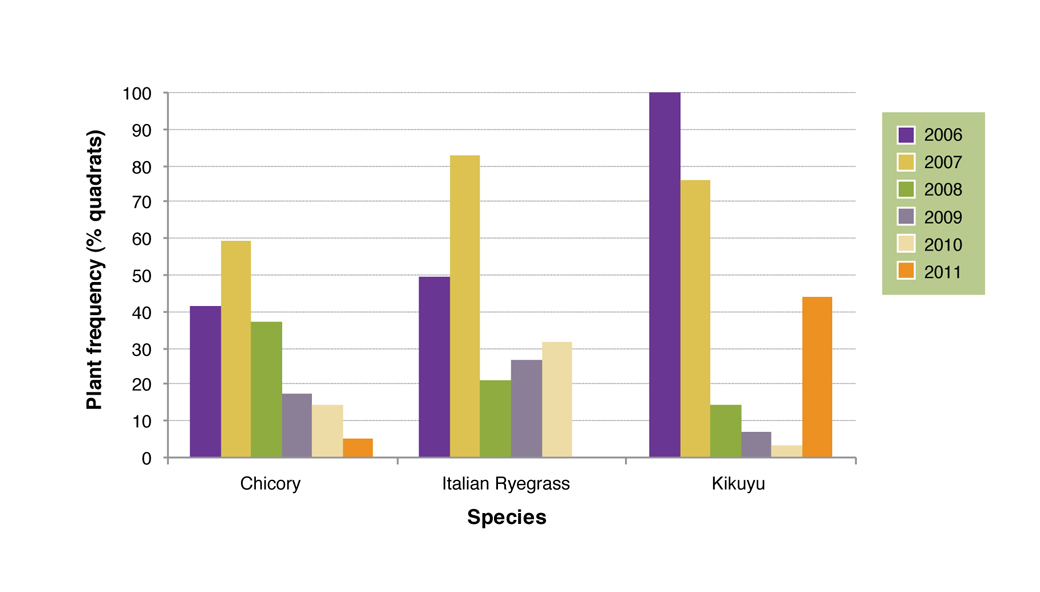Figure 7. Plant frequency of Chicory (Puna), Italian ryegrass and Kikuyu (Whittet) planted on the crest, slope and valley floor at Hamilton EverGraze Proof Site (Note, the Italian ryegrass treatment is effected by re-sowing each year).