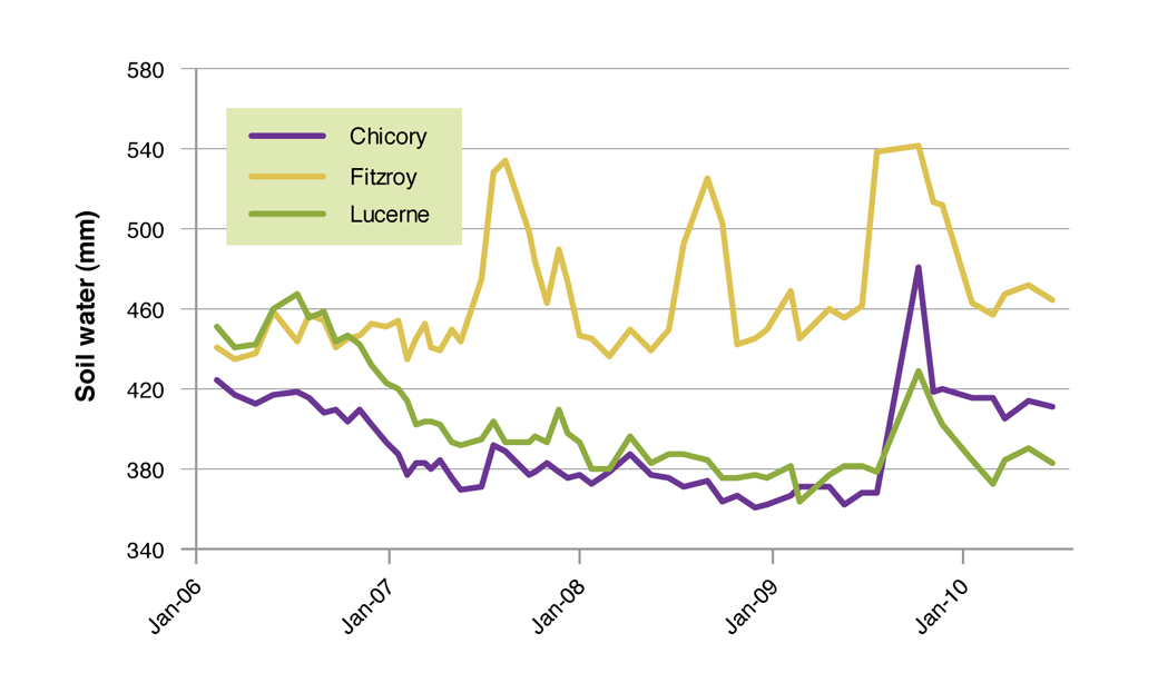 Figure 8. Soil water (2.25-3.25m) for chicory, early season flowering perennial ryegrass (Fitzroy) and lucerne (SARDI 7) on the crests at Hamilton Proof Site