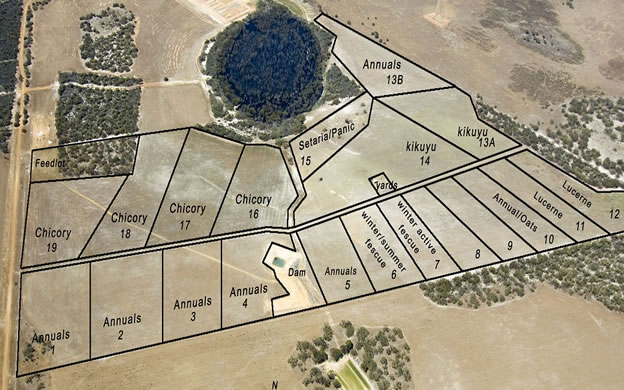 Figure 1. Pasture treatments in 2006