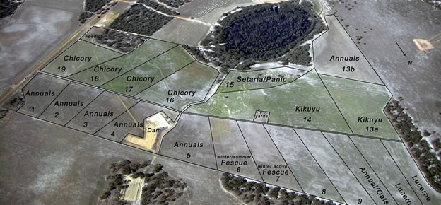 Figure 2. Pasture treatments in 2007