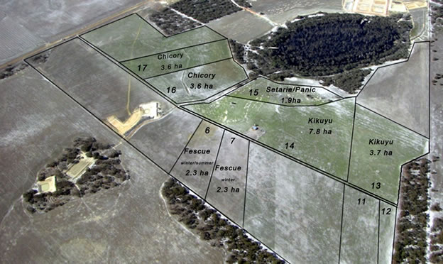 Figure 3. Pasture treatments in 2008