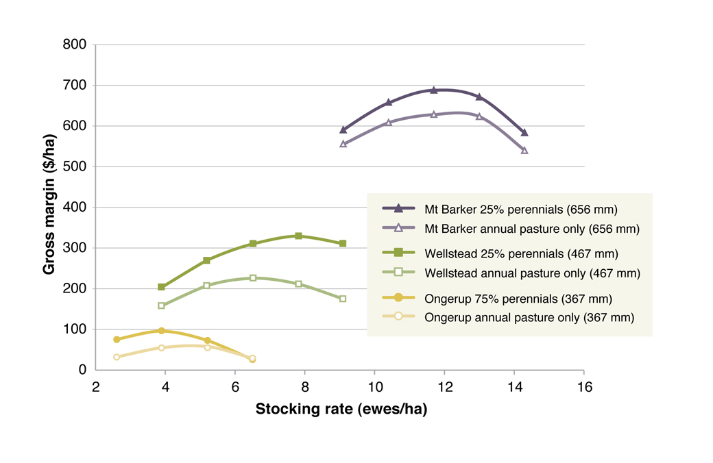 Figure 5. Gross margins at various stocking rates for the most profitable perennial systems compared to a system based entirely on annuals at three locations.