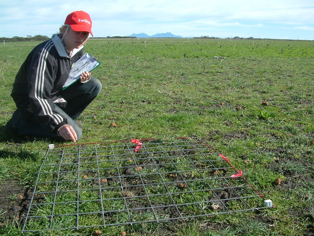 Elisha McCready measures basal cover using the 100 point grid