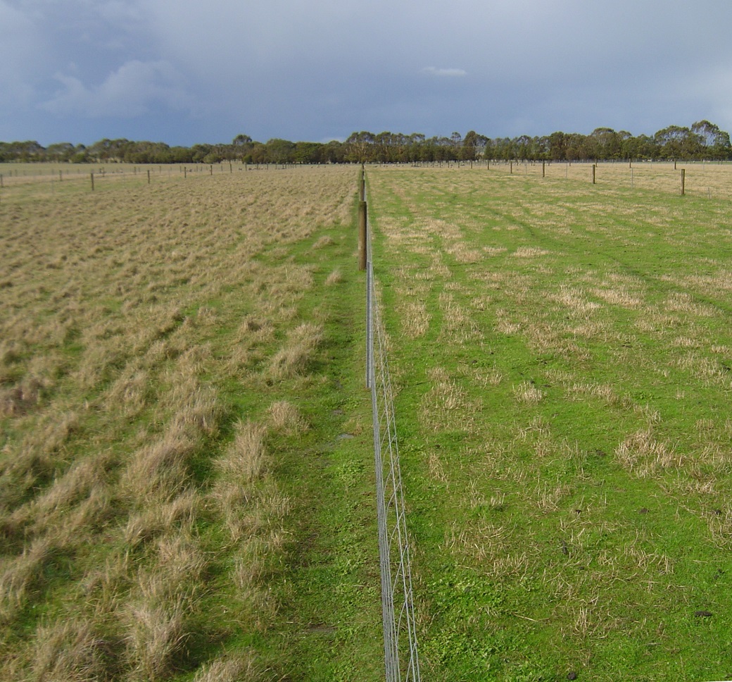 Low (left) and high (right) phosphorus input treatments at the Long Term Phosphate Experiment Low (left) and high (right) phosphorus input treatments at the Long Term Phosphate Experiment