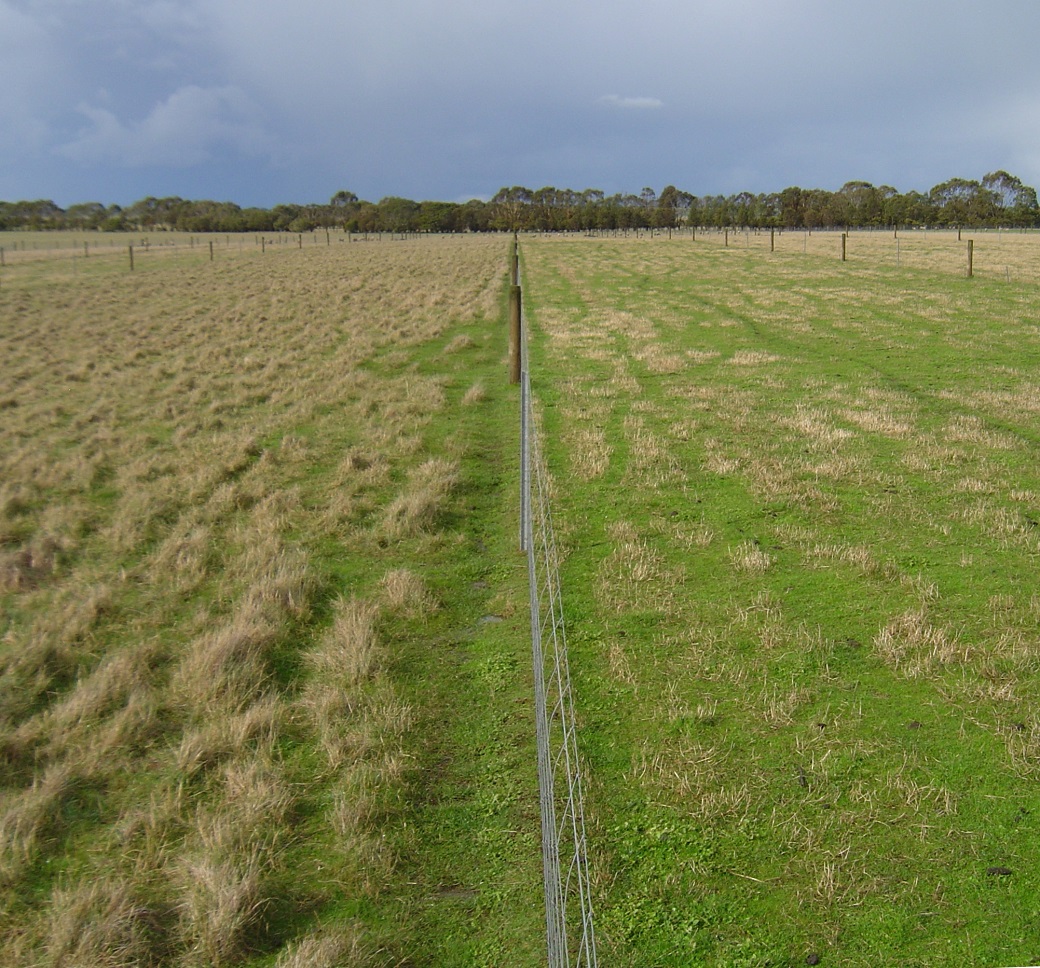 Low (left) and high (right) phosphorus input treatments at the Long Term Phosphate Experiment