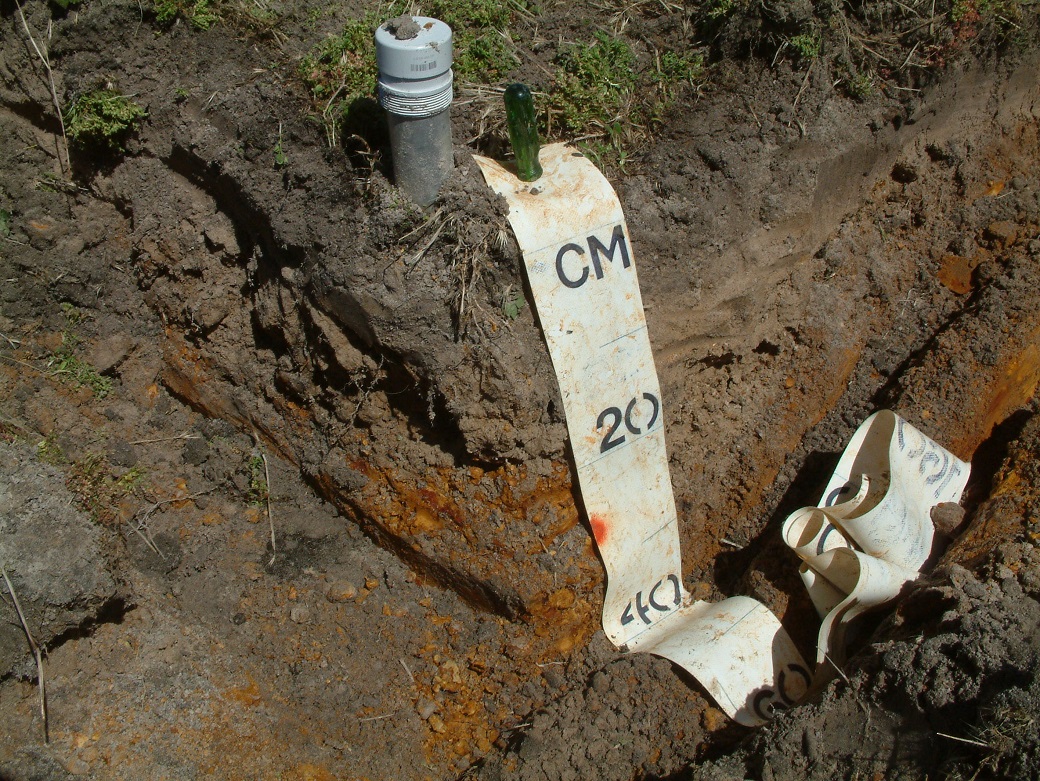 Soil profile where lucerne declined