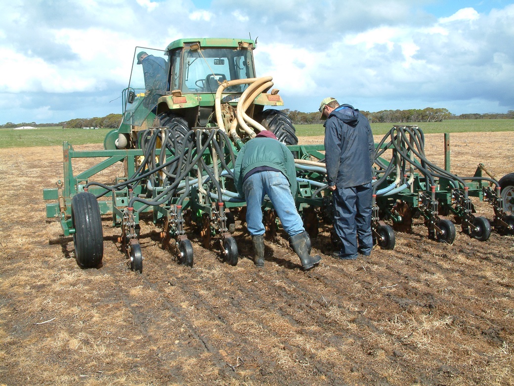 Sowing perennials at the Proof Site in the spring of 2005. Note the excellent weed control.