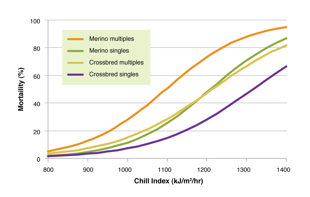 Figure 2. Relationship between the chill index (kJ/m2/h) and the mortality of single and twin lambs born to merino ewes and crossbred ewes (adapted from Donnelly 1984)