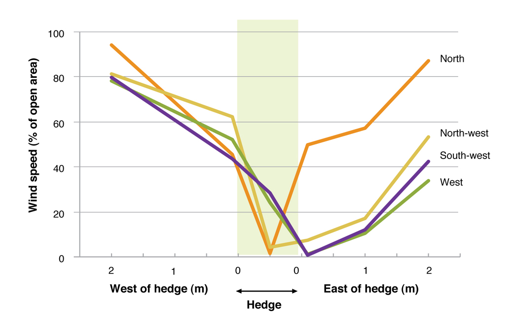 Figure 4. Wind speed at various distances from the hedge, in relation to wind direction at Hamilton during September 2006