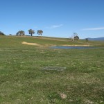 Rotational grazing improved ground cover in tough seasons at Ian Nicholas’ Benambra Supporting Site.