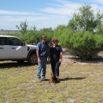 Barry and Genie Pearce have a property at Woogenellup, 70 kms north of Albany in WA. They host an EverGraze Supporting Site which is looking at perennials to address salinity and waterlogging whilst also increasing summer forage production.