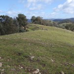 Kevin Dean very successfully established kikuyu to maintain ground cover on a sheep camp hill top at Tambo Crossing Supporting Site