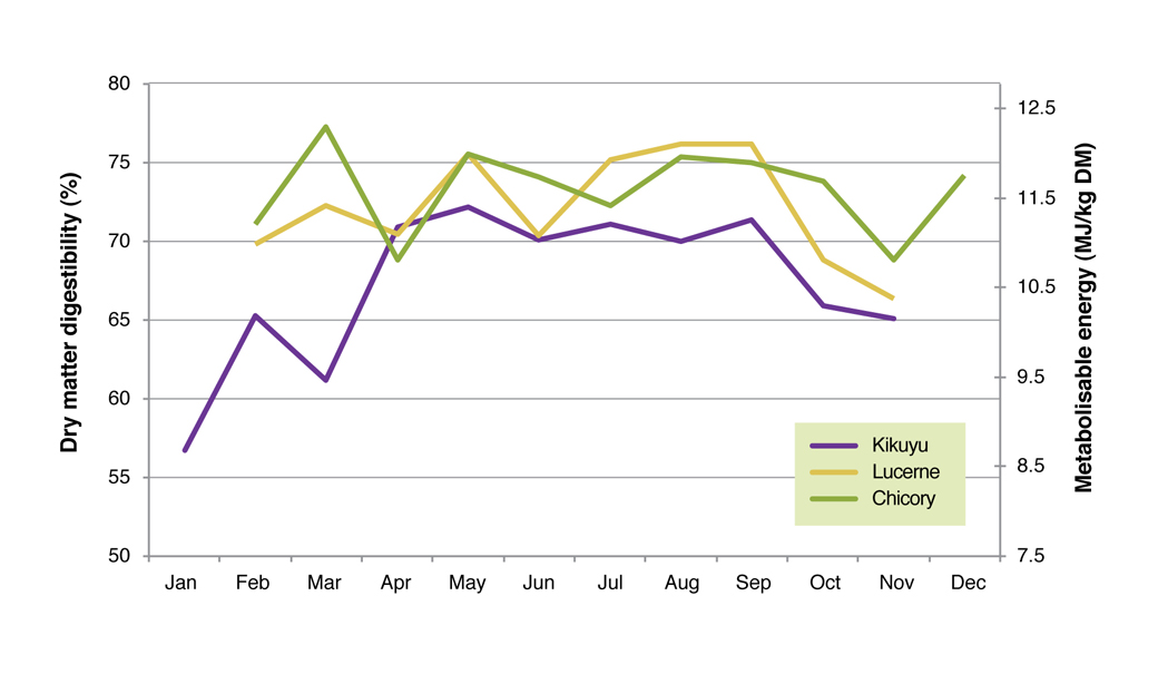 Figure 6. Dry matter digesibility and metabolisable energy of kikuyu, lucerne and chicory averaged over 2006 to 2008 at the Proof Site in Wellstead.