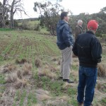 Used grazing management and establishment of Uplands cocksfoot to manage the serrated tussock on his steep gorges in Ballan.