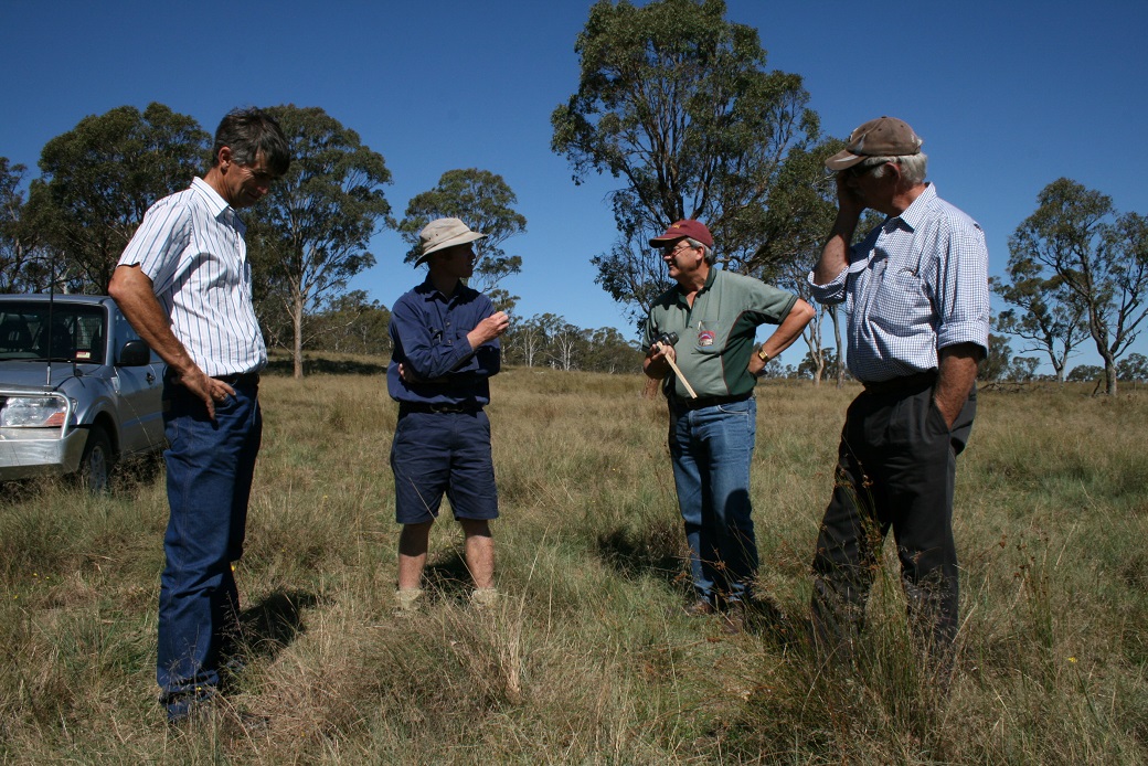 Bridgewater - Ray Quihampton, John Chappel, Geoff Saul and Jim Street Bridgewater - Ray Quihampton, John Chappel, Geoff Saul and Jim Street view the African Love grass