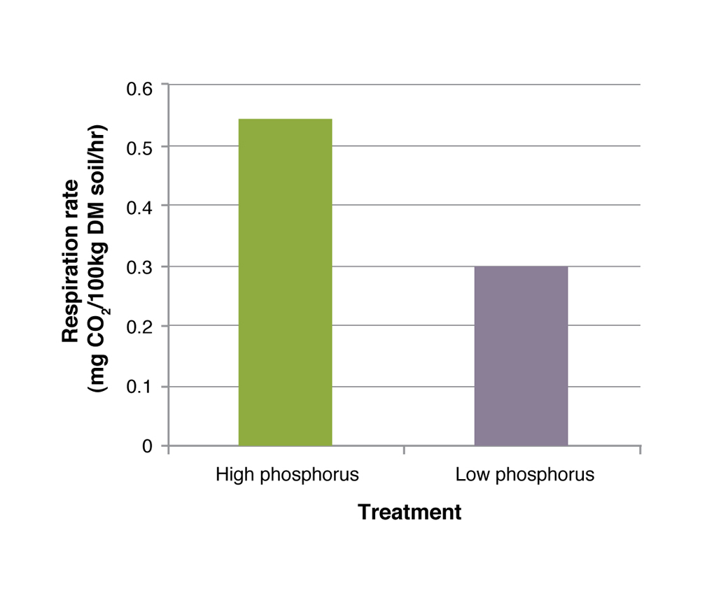 Figure 11. The effect of fertiliser application on microbial respiration rate (data courtesy of Jennifer Clarke, 2001, Masters Thesis, University of Melbourne)