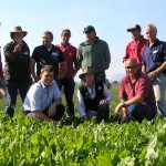Shane Arnold (front right) with participants at the Cavendish EverGraze field day admiring the chicory pastures sown to fill the summer feed gap at his farm “Mokanga” in Cavendish.