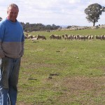 David Hewlett has implemented a Split Joining system based on current EverGraze research to capitalise on the demand for cross bred store lambs.