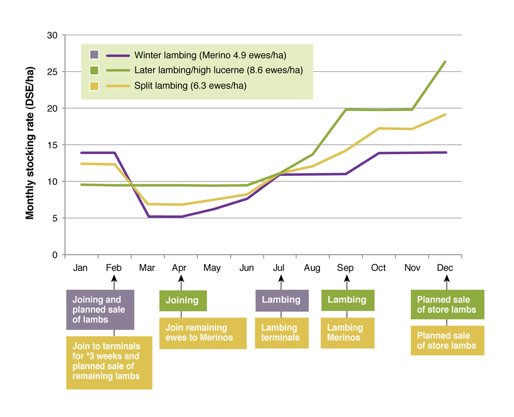 Figure 3. Monthly stocking rate (dry sheep equivalents/ha) for four systems 2009/2010 (Note that the graph represents planned sale dates for lambs, which can vary depending on seasonal conditions).