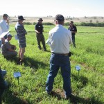 Pastoria EverGraze Supporting Site