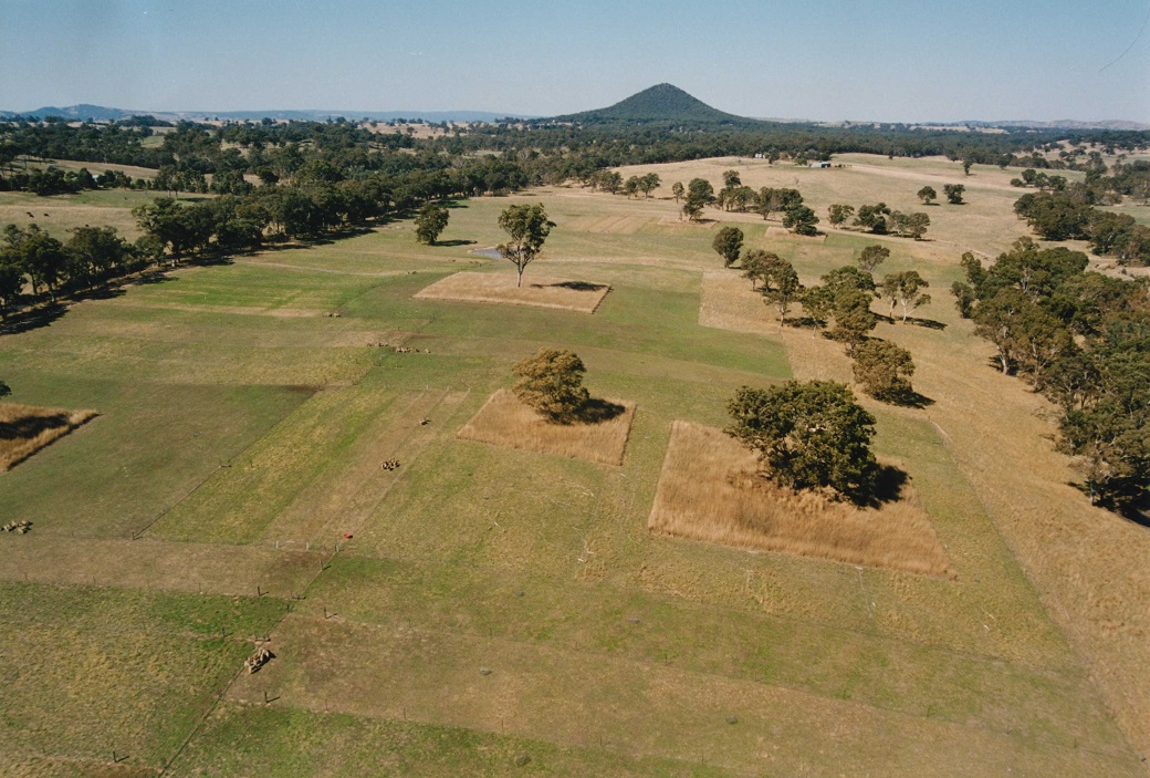 Broadford Grazing Experiment Broadford Grazing Experiment