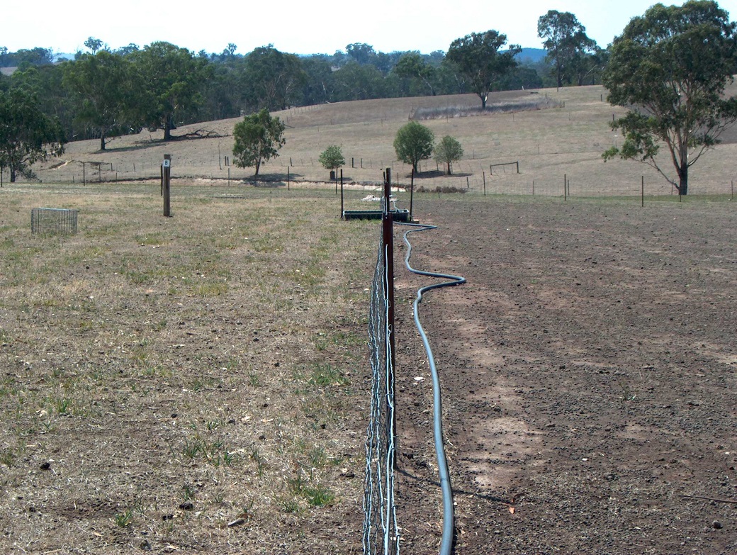 Ground cover was maintained in the rotational grazing treatments (left) but declined sharply in the annual dominant continuous grazed treatments (right) in the drought.