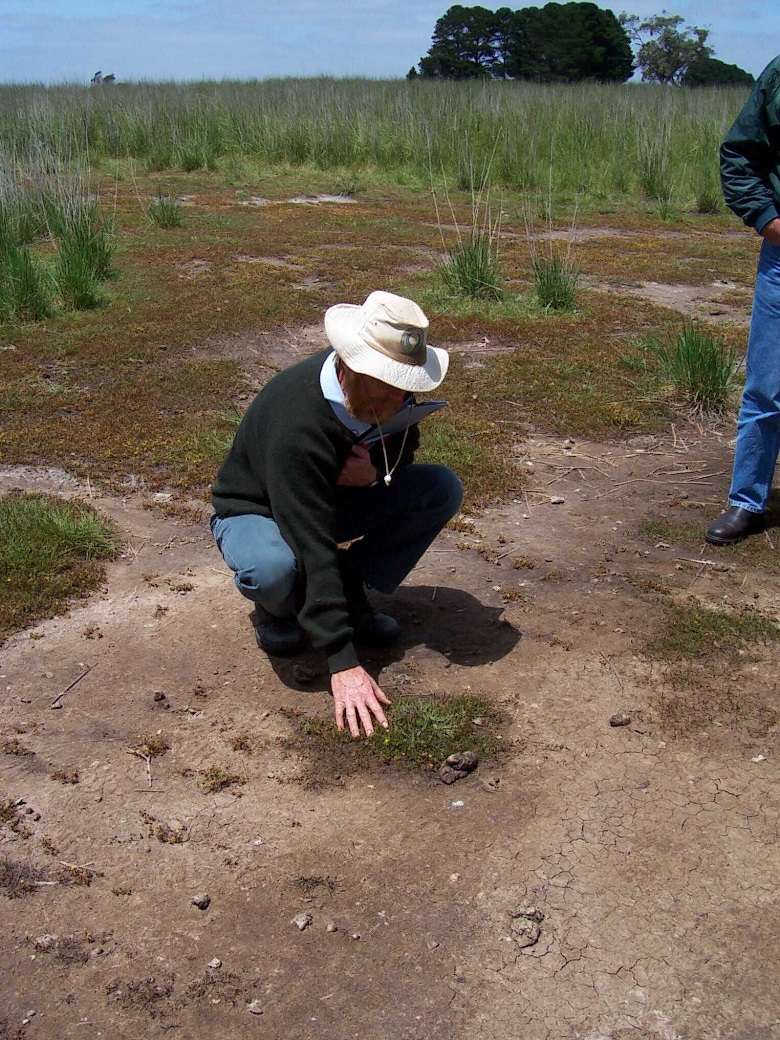 Bare saline discharge areas become susceptible to erosion Bare saline discharge areas become susceptible to erosion