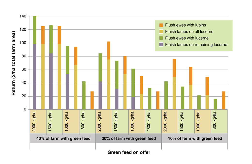 Effect of different green feed on offer (kgDM/ha) on return ($/ha farm area) from flushing ewes and finishing lambs on either green feed or lupins Figure 3. Effect of different green feed on offer (kgDM/ha) on return ($/ha farm area) from flushing ewes and finishing lambs on either green feed or lupins. See Table 2 for assumptions used in this analysis.