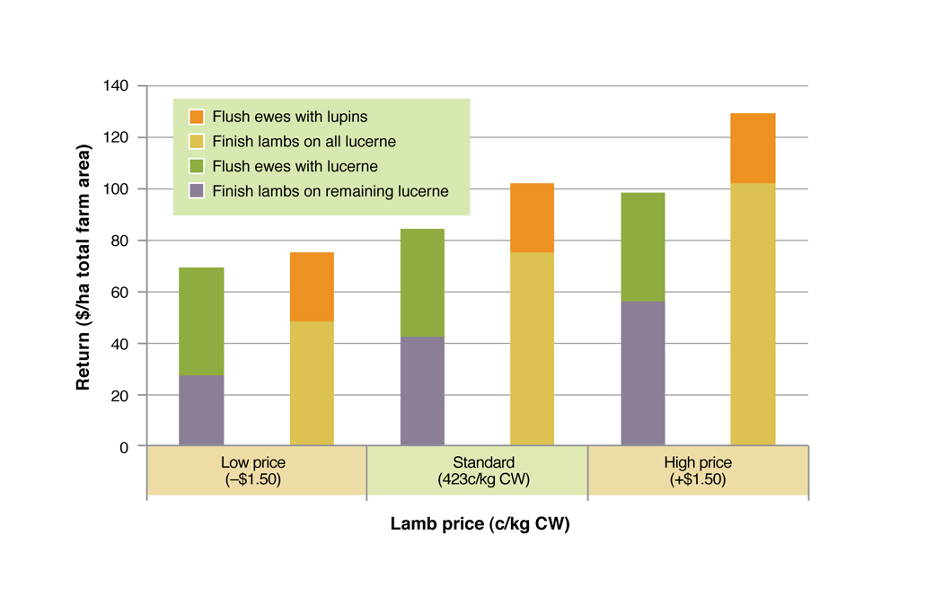 Figure 4. Comparison of returns from finishing lambs and flushing ewes on green feed under three price scenarios. See Table 2 for assumptions used in this analysis.