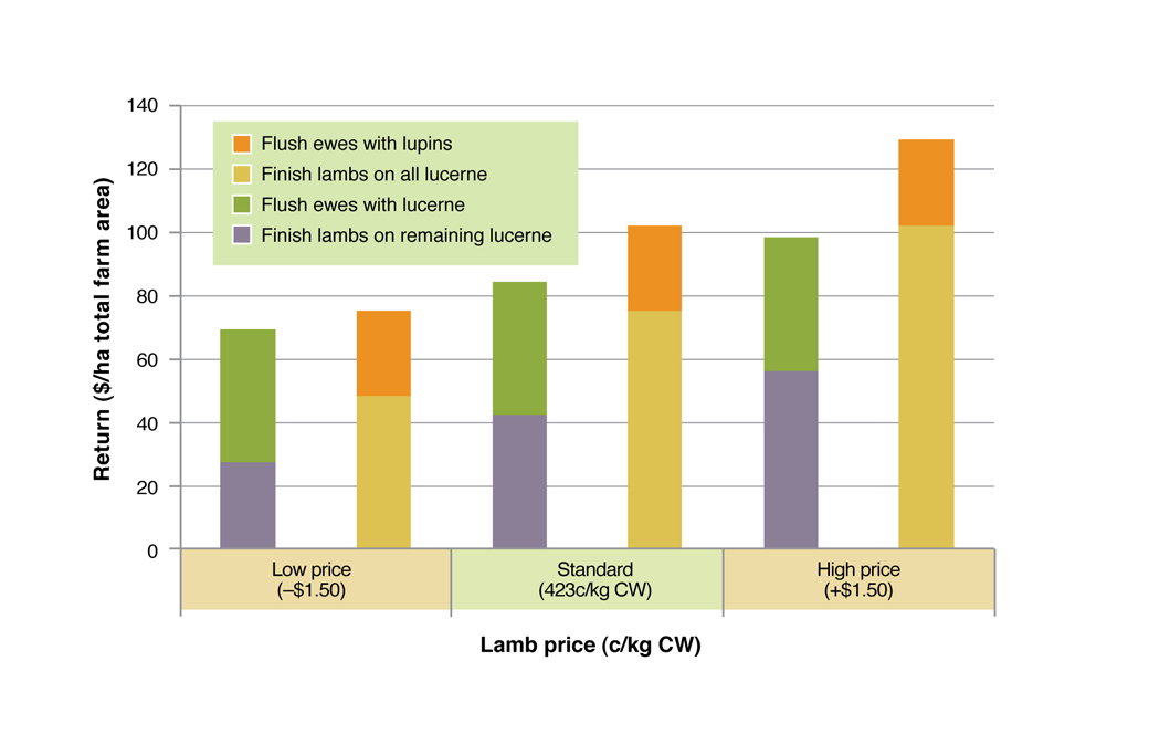 Comparison of returns from finishing lambs and flushing ewes on green feed under three price scenarios. See Table 2 for assumptions used in this analysis Figure 4. Comparison of returns from finishing lambs and flushing ewes on green feed under three price scenarios. See Table 2 for assumptions used in this analysis.