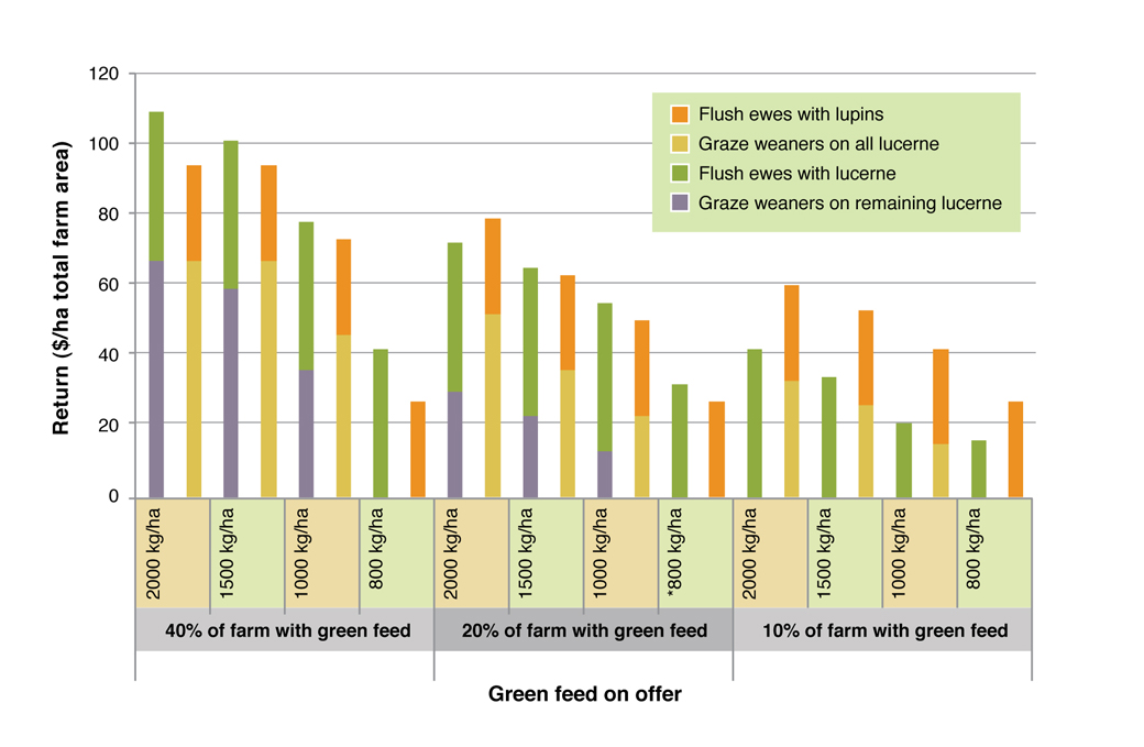 Figure 5. Comparison of returns from flushing ewes and growing out weaners on green feed. See Table 2 for assumptions used in this analysis.