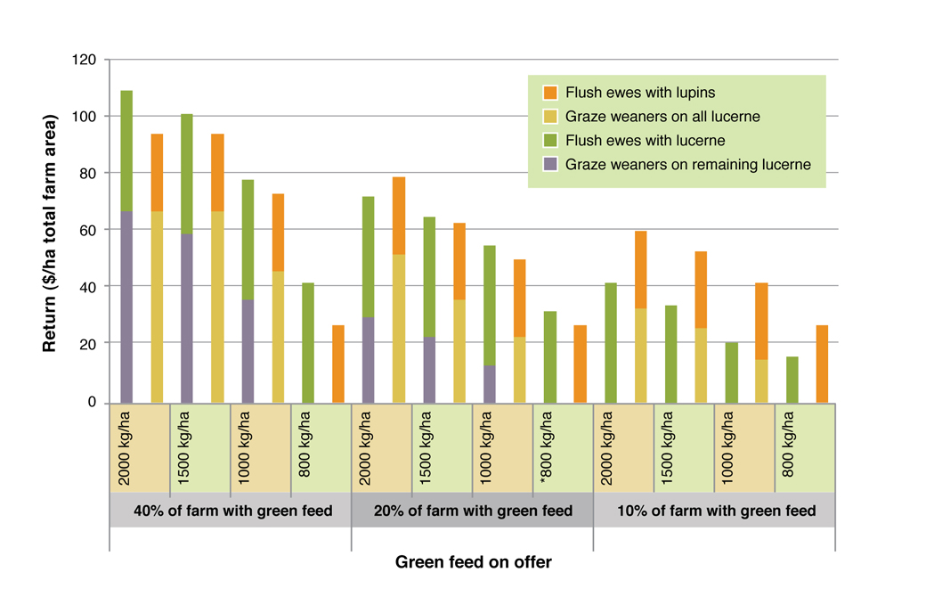 Comparison of returns from flushing ewes and growing out weaners on green feed. See Table 2 for assumptions used in this analysis Figure 5. Comparison of returns from flushing ewes and growing out weaners on green feed. See Table 2 for assumptions used in this analysis.
